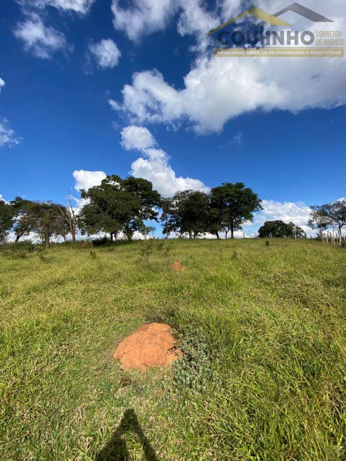 WhatsApp Image 2025-06-11 at 15.41.46.jpeg